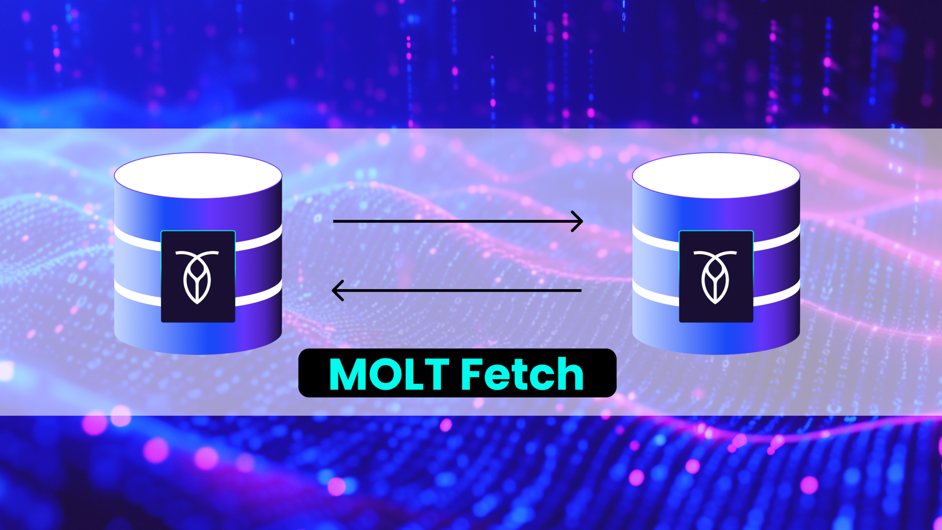An image with the words MOLT Fetch and two CRL silos representing data migration.