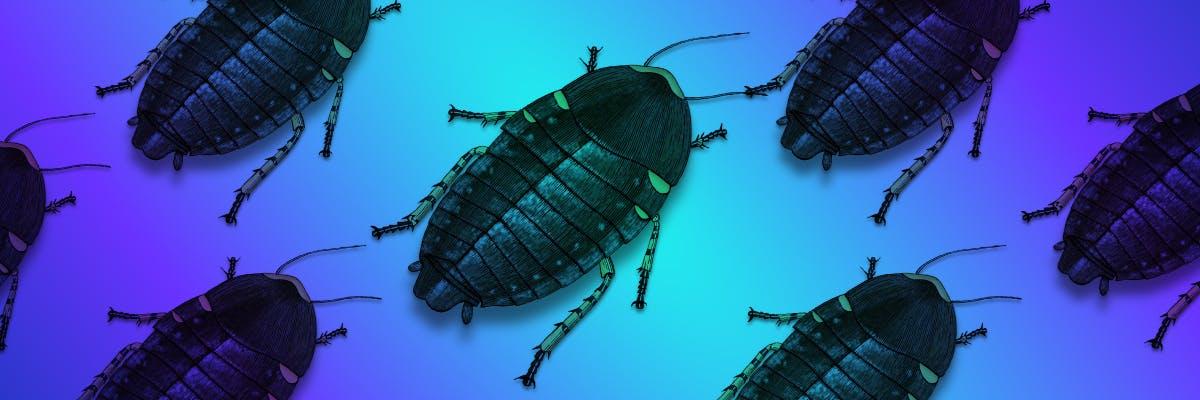 the-name-cockroachdb